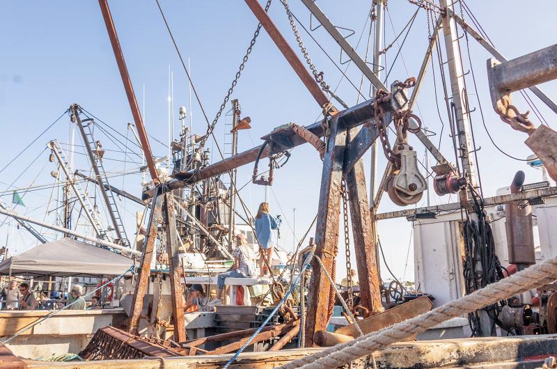 Fishing vessels line the dock to greet the visitors.