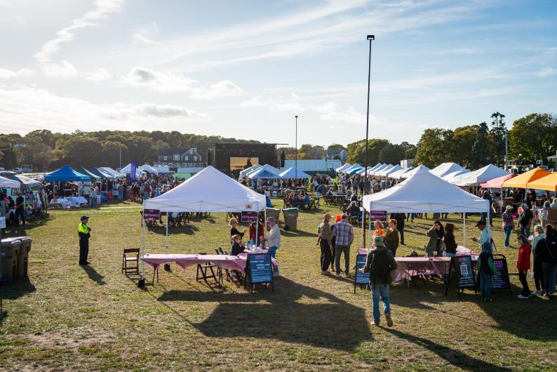 Numerous vendors and performers line the festival grounds.