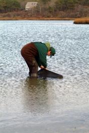scalloper