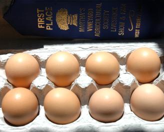 Eggs entered by Jake Stammel