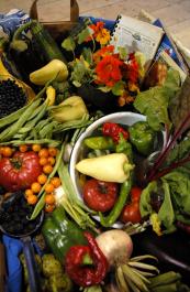 Garden bonanza from Bob Ganz
