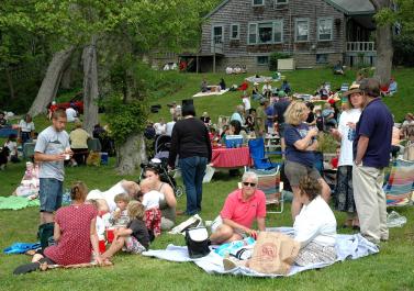 picnic