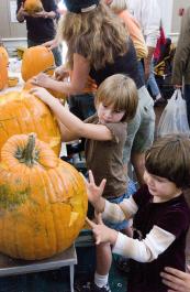 pumpkins
