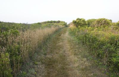 path