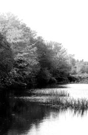 mill pond