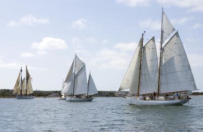 boats
