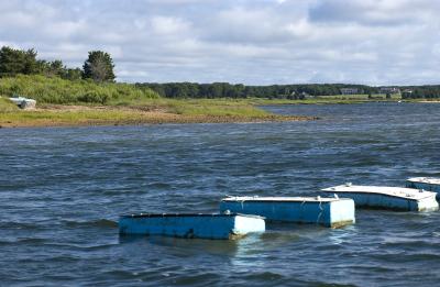 aquaculture