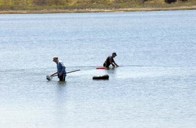 clamming at Senge