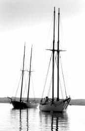 boats