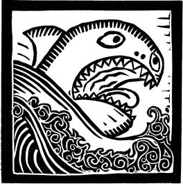 shark