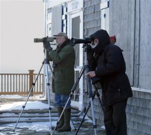 birdwatching