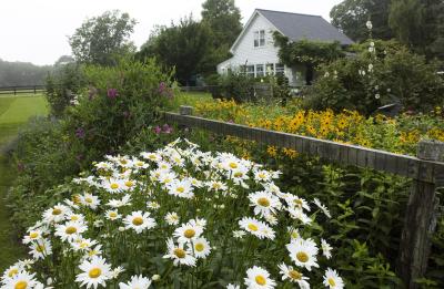 Blue Heron Farm