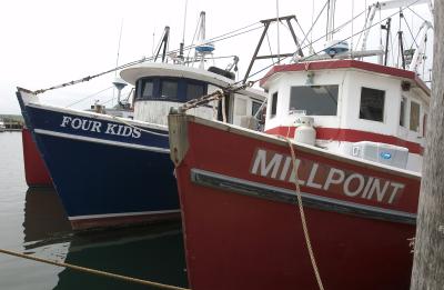 boats