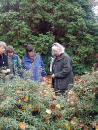 arboretum