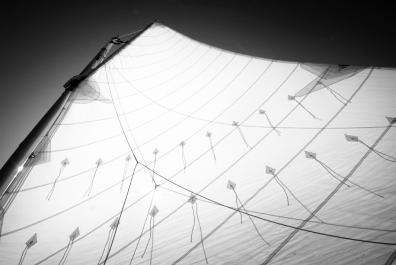 sail
