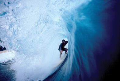 inside the barrel