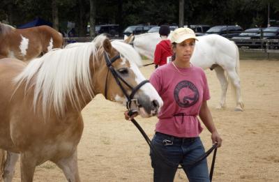 horse trainer