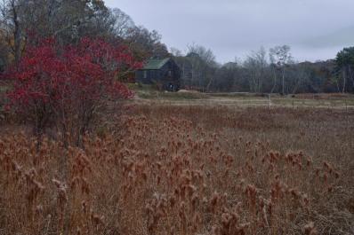 Cranberry Acres