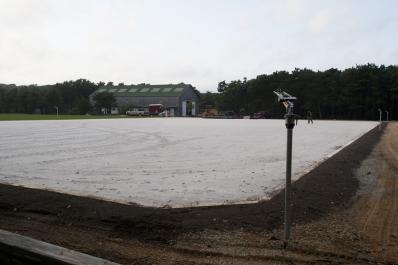 Crow Hollow