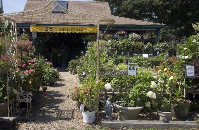 Eden