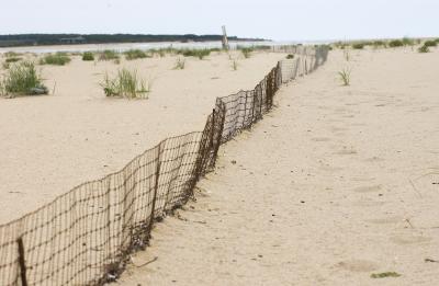 fence