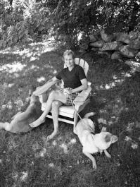 Vicki Divoll