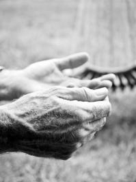hands