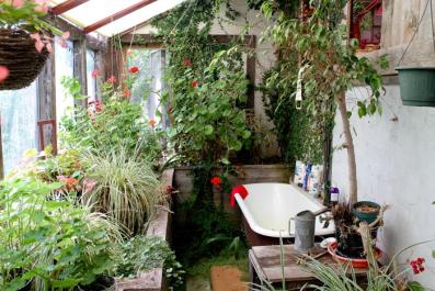 greenhouse
