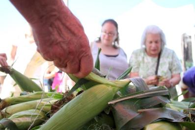 Corn shopper