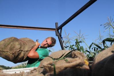 Gideon Spykman bags corn