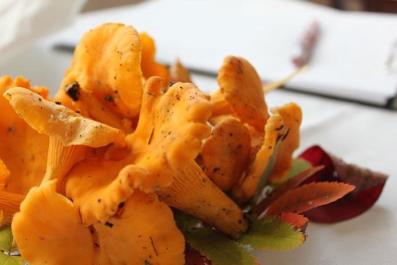 chanterelle mushroom