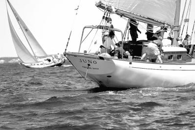 juno sailboat