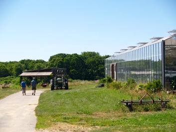 thimble farm