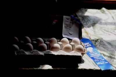 eggs