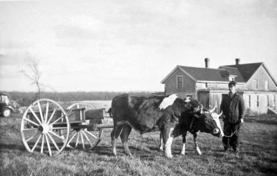 BW farmer house field cattle cart