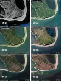 graphic