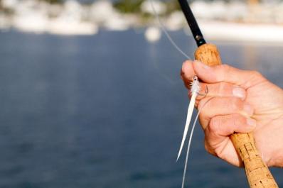 fly fishing