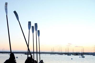 oars morning harbor