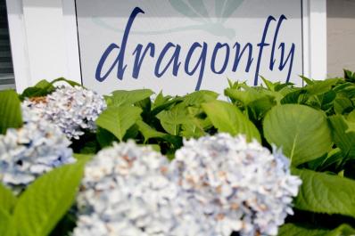 dragonfly gallery