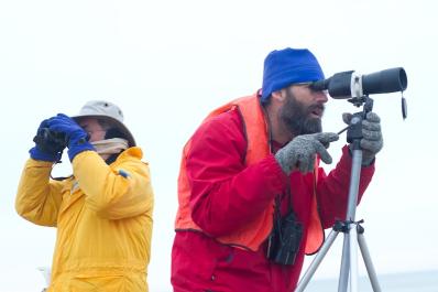 yellow and red bird watchers
