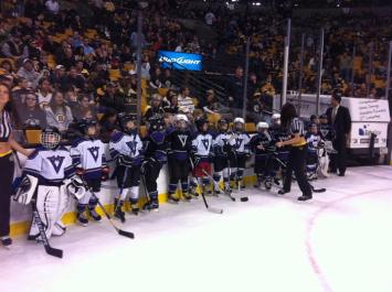hockey rink fans