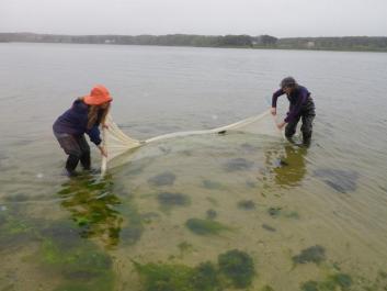 eel fishing
