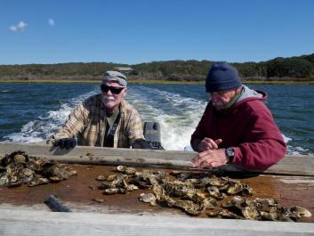 oyster farm