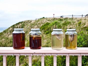 sun tea