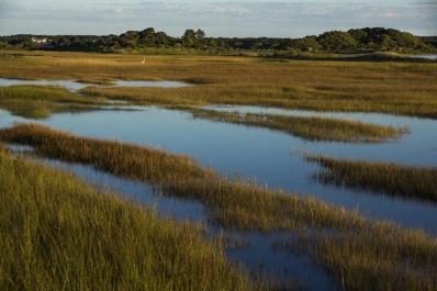 lagoon on Martha