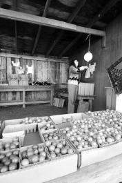 Thimble Farm farmstand