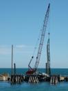 crane