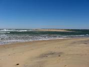 Charlie’s Island
