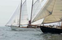 boats