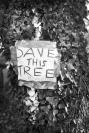 Save This Tree